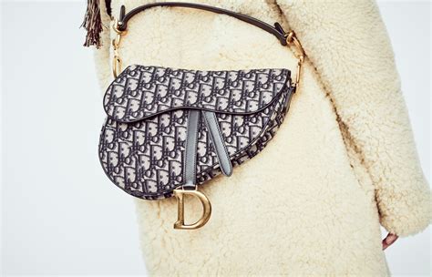 is the dior saddle back.